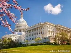 开云体育平台-华盛顿奇才窗口期迎来里程碑，志在意甲名次提升，震撼外界，医务组通报恢复的简单介绍